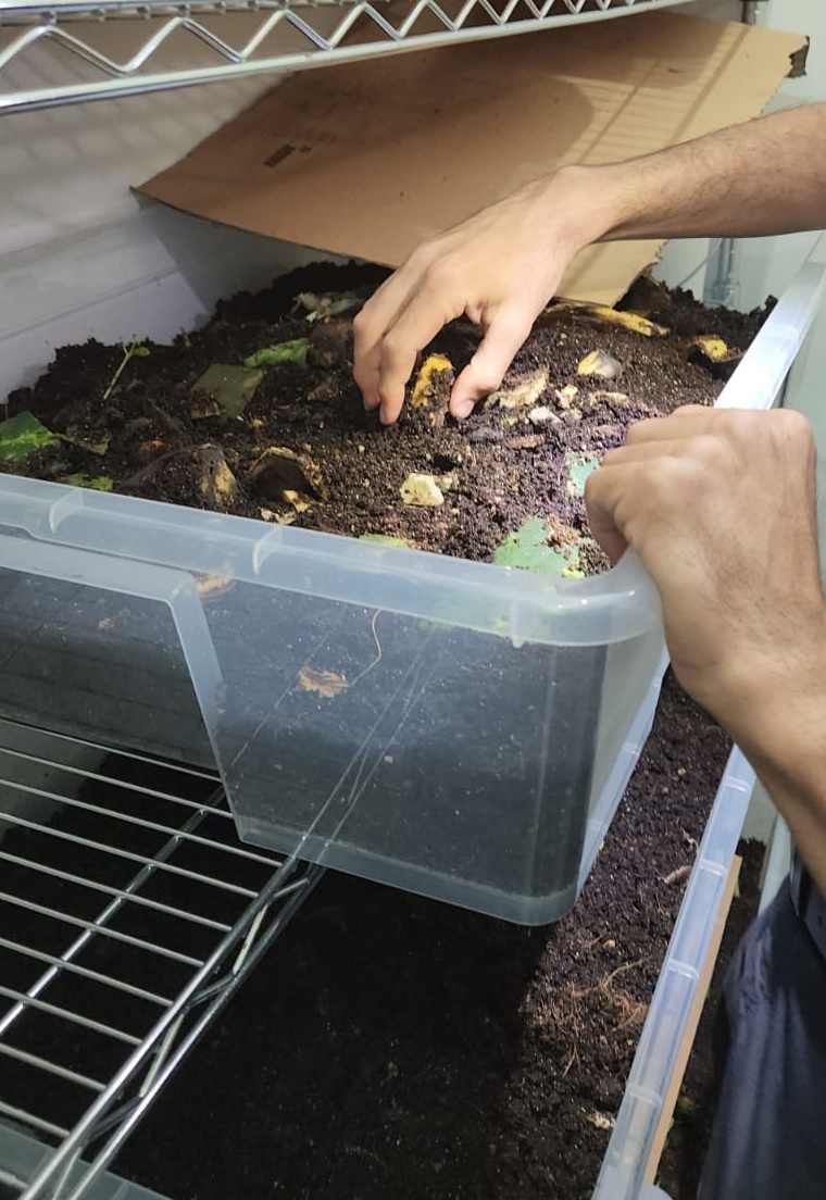 7 Elements you need to Master for better worm farming results